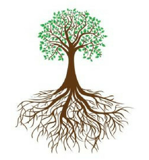 functional-medicine-e1543512481213